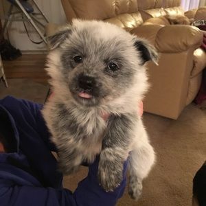 Meet your Posher, Rochelle